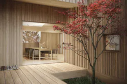 top-NjordrumCare i Japan_visualisation by nor3d_view3