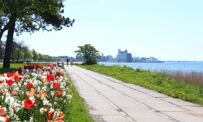 Strandboulevarden_havnen_blomster2