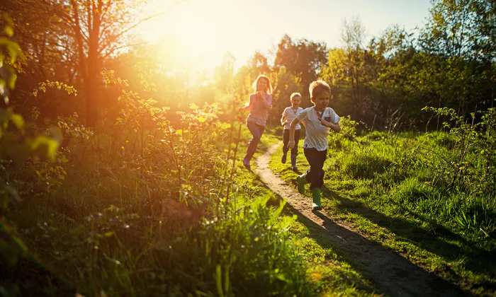 biodiversitet-pensiondanmark-landskab