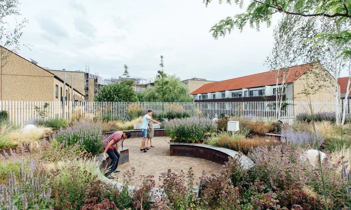 Magneten Sansehave vinder Green Roof Award 01