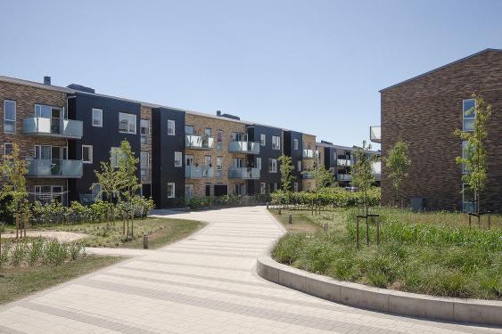 Grønnegården præmieret til årets arkitektur dag