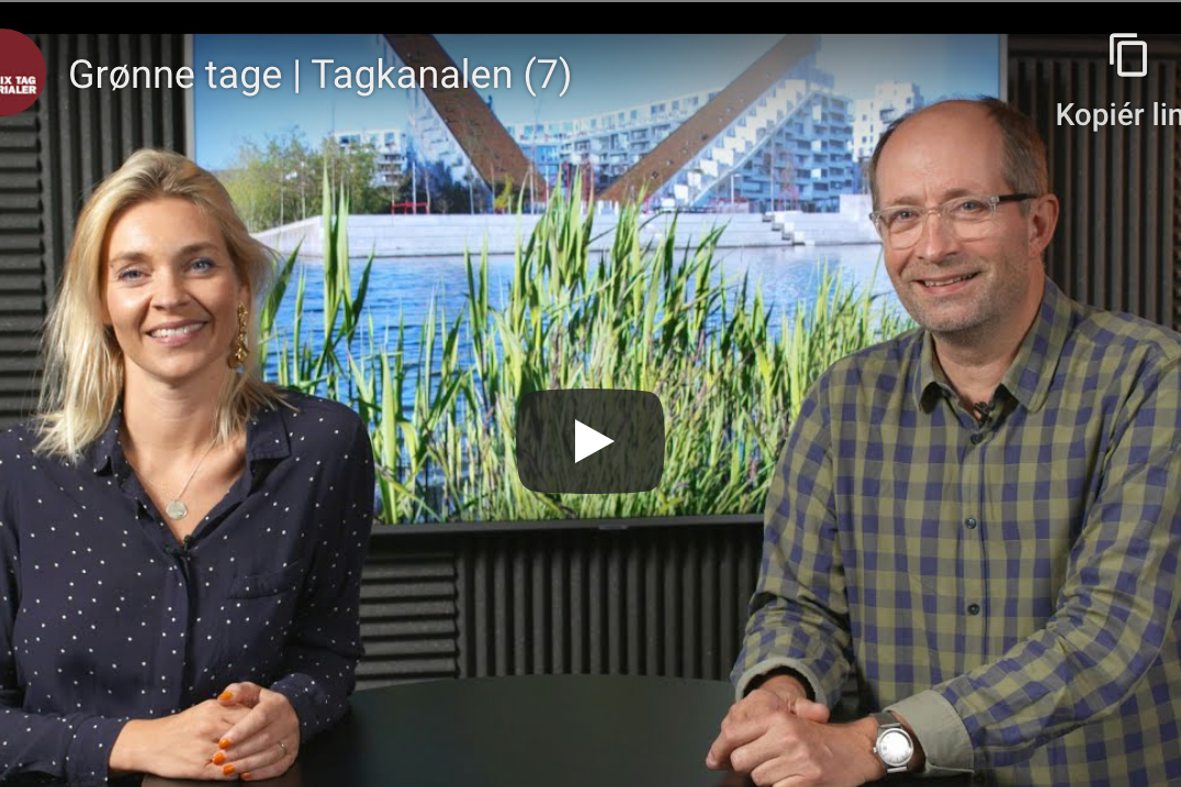 Phønix Tag Materialer