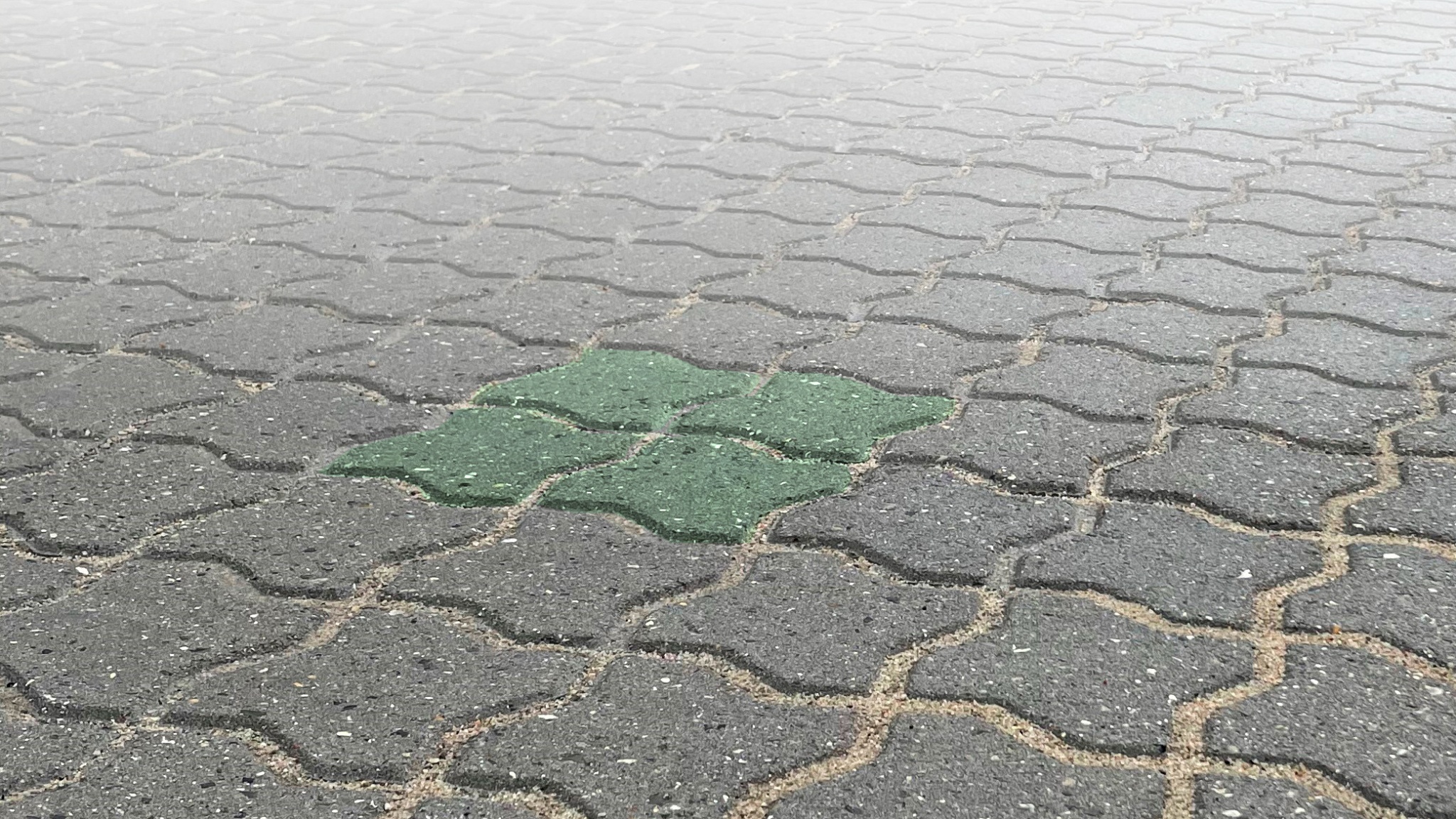Kaluk parkering_grøn