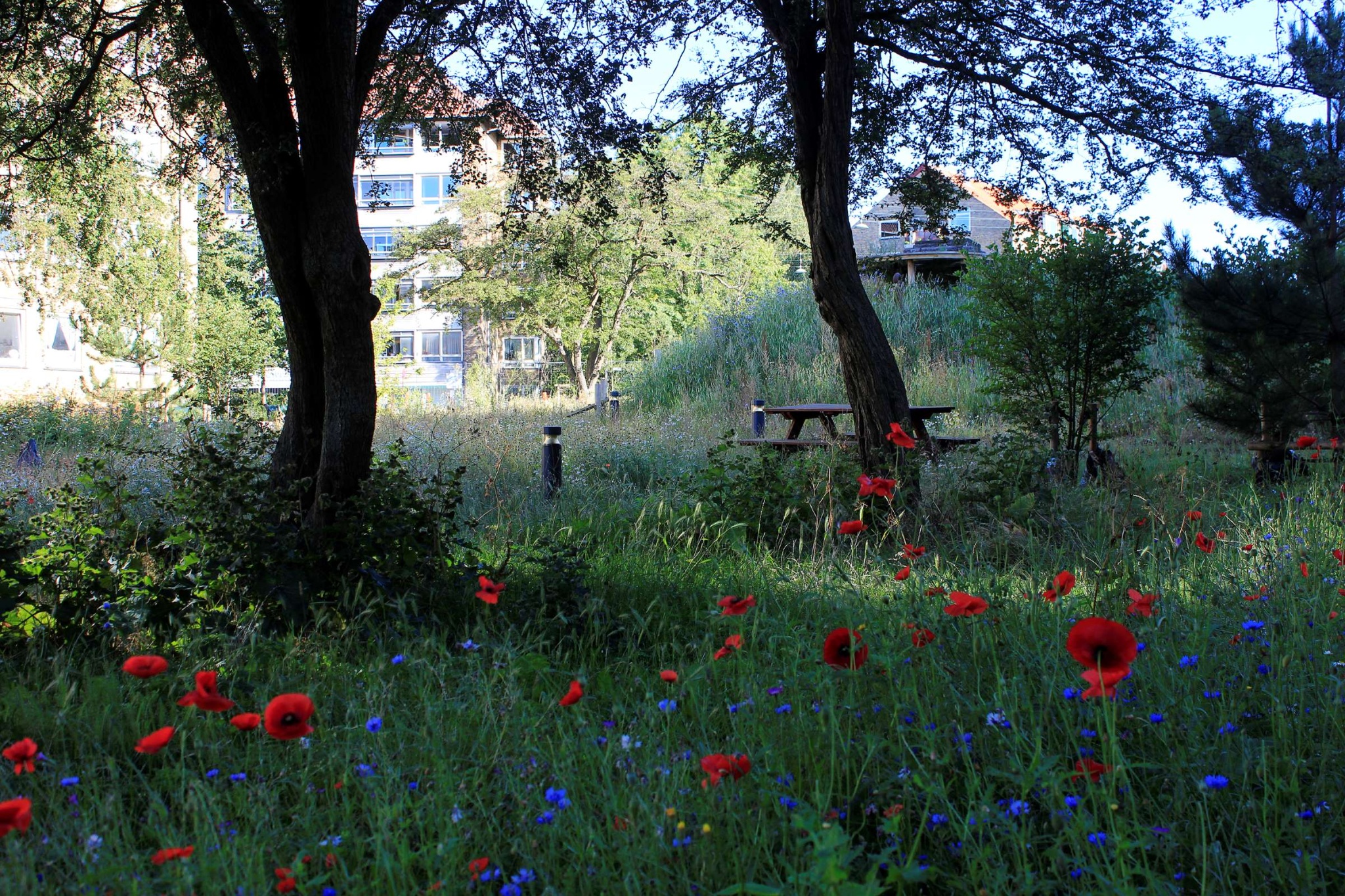 Grønningen NV_Københavns Kommune 2_Foto Philip von Platen