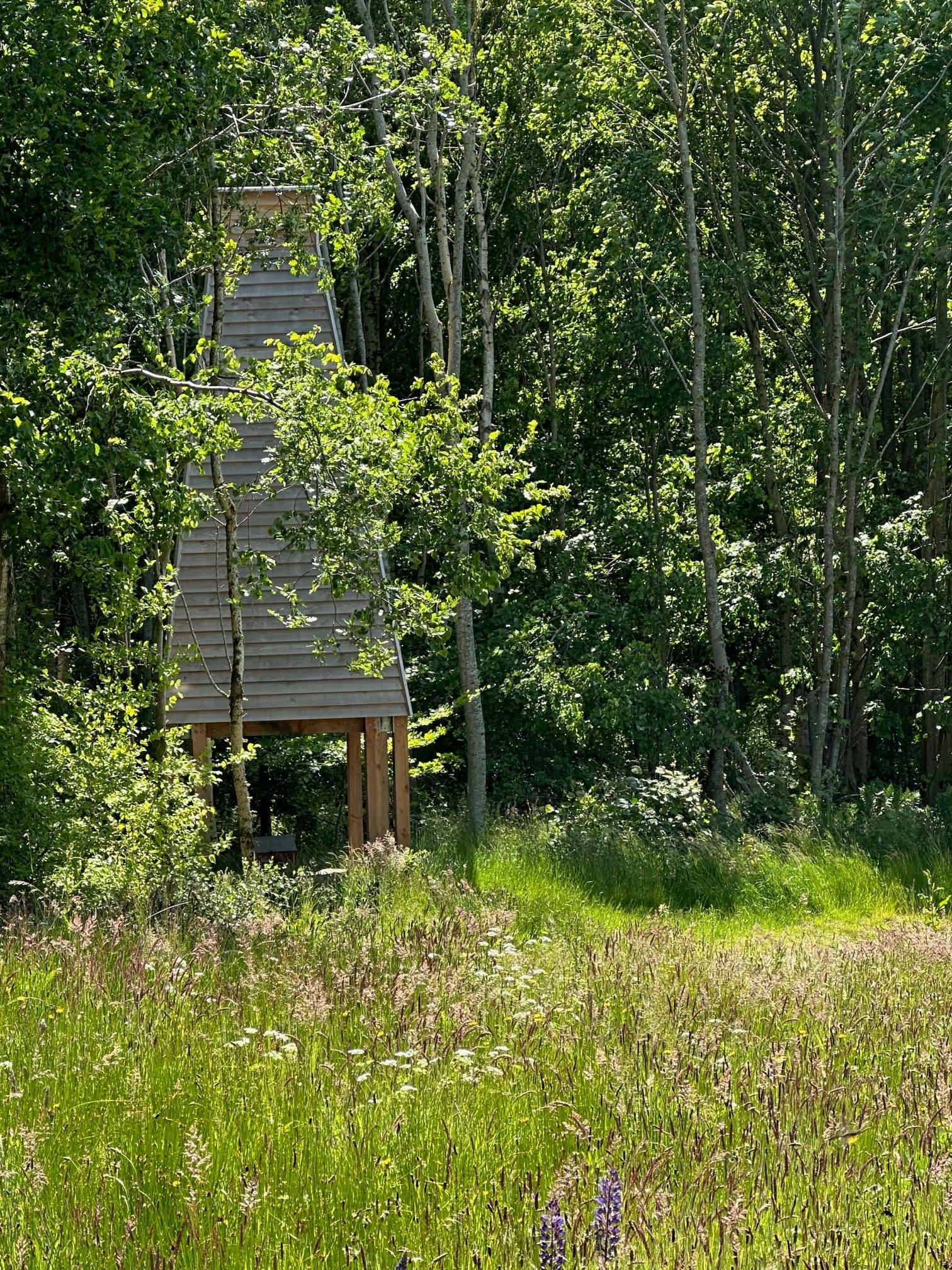 Landskabsark og Grønne Trepart_05