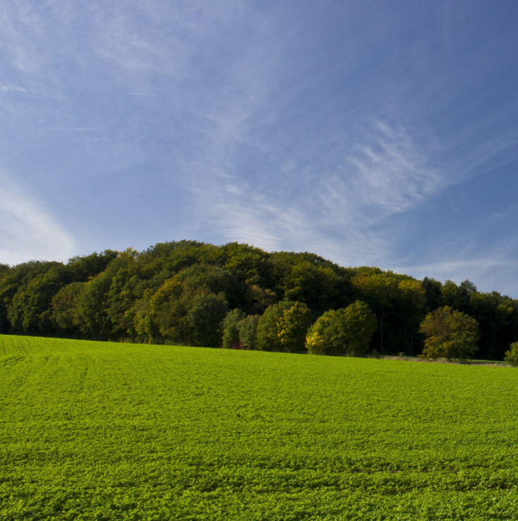 Landskab