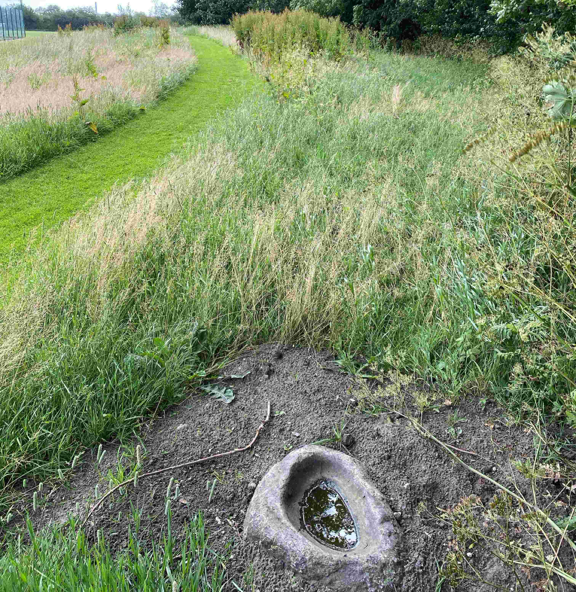 Randområde i Valby Idrætspark