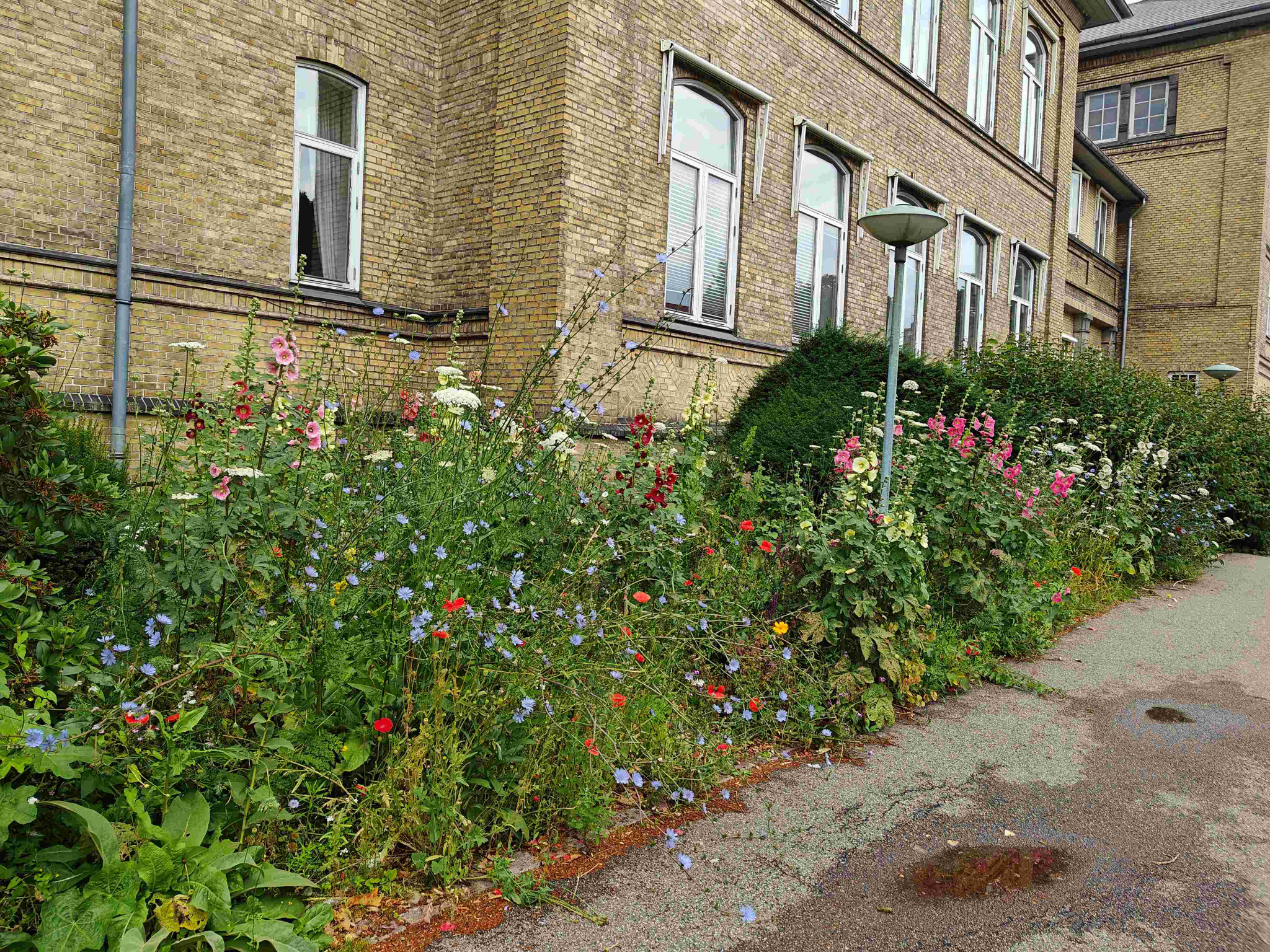 regionh-biodiversitet