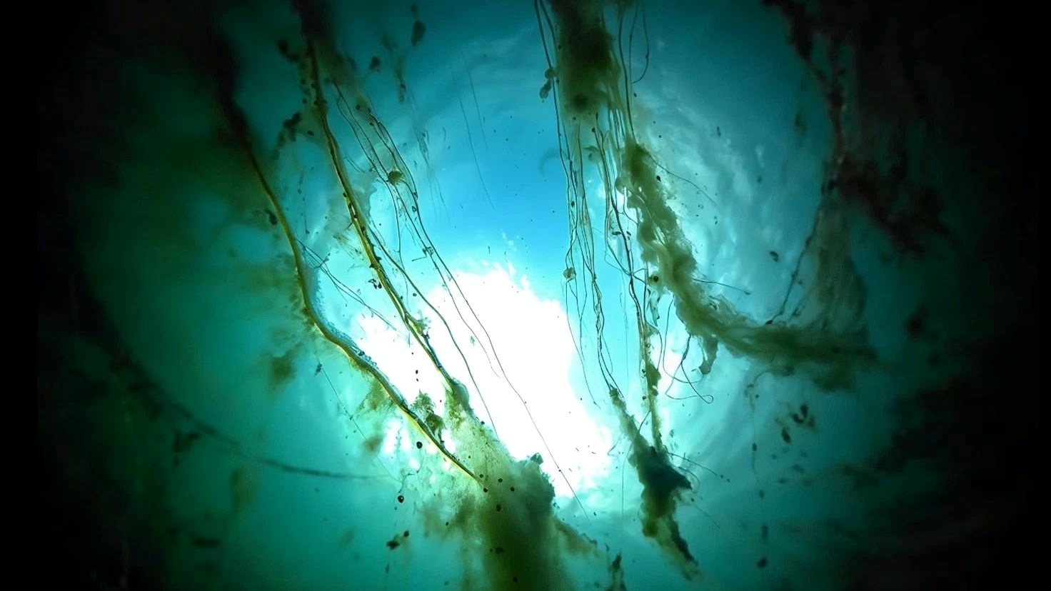 Dreaming Waterspace