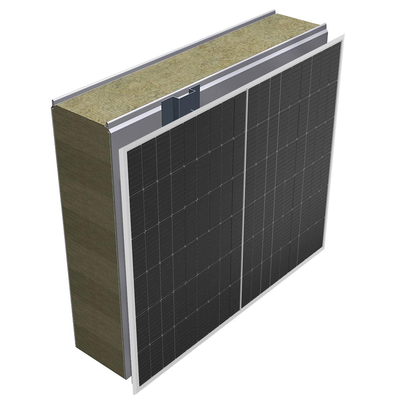 pps-built-on-pv-wall-render