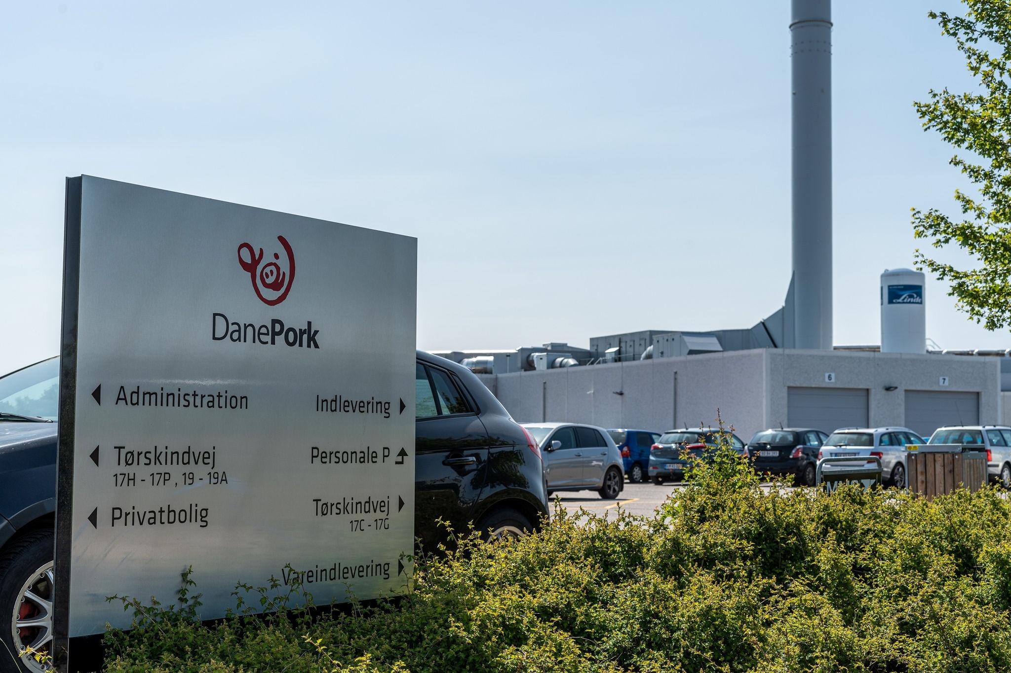 DanePork (11)