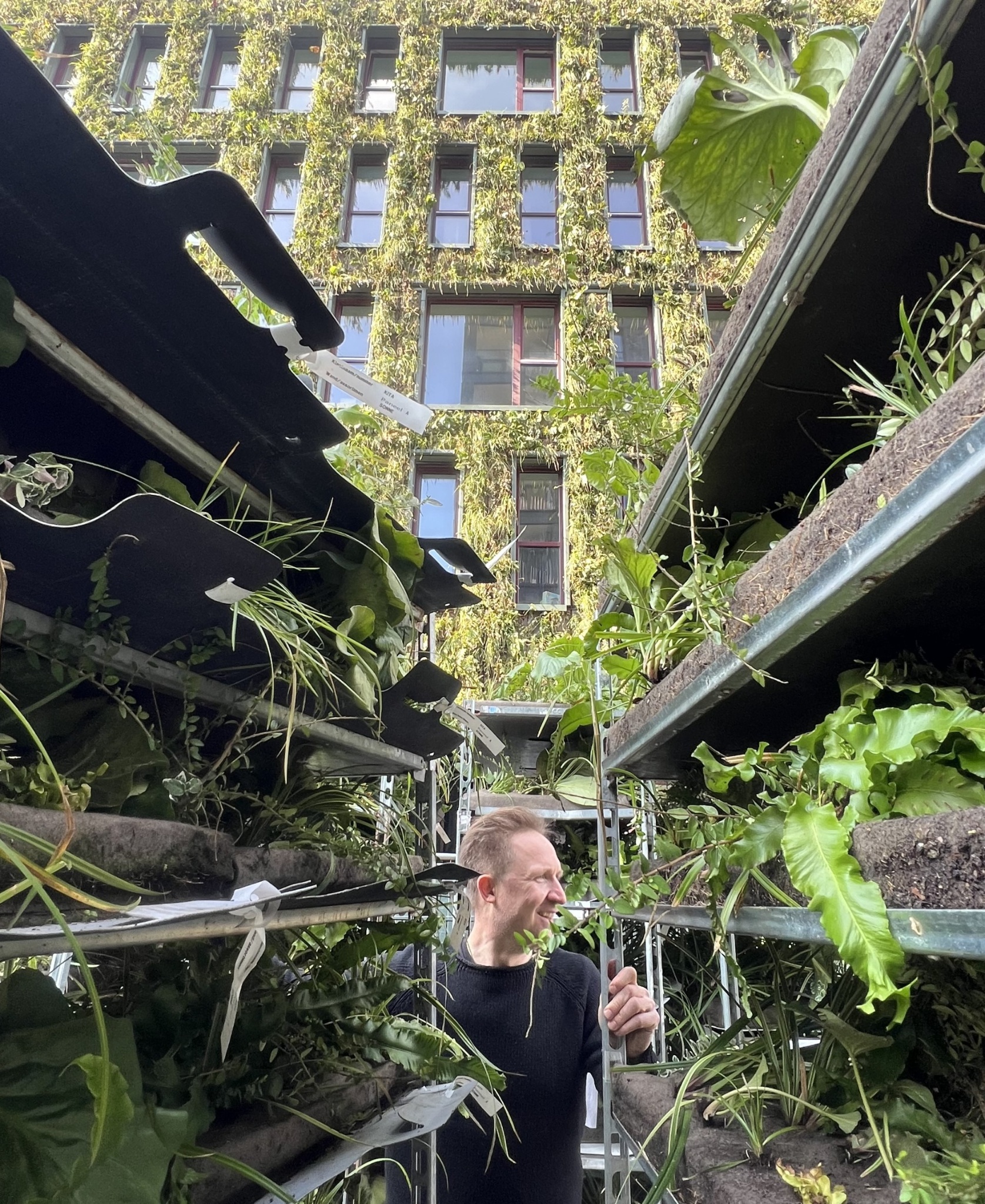 The Birdnest - foto - WERK - kreativ direktør Thomas Kock