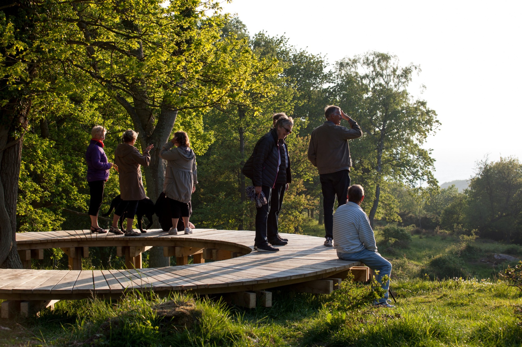 Hammersholm Helleristningen_arkitekt_Erik Brandt Dam_foto_Bjorn Pierri Enevoldsen_Realdania