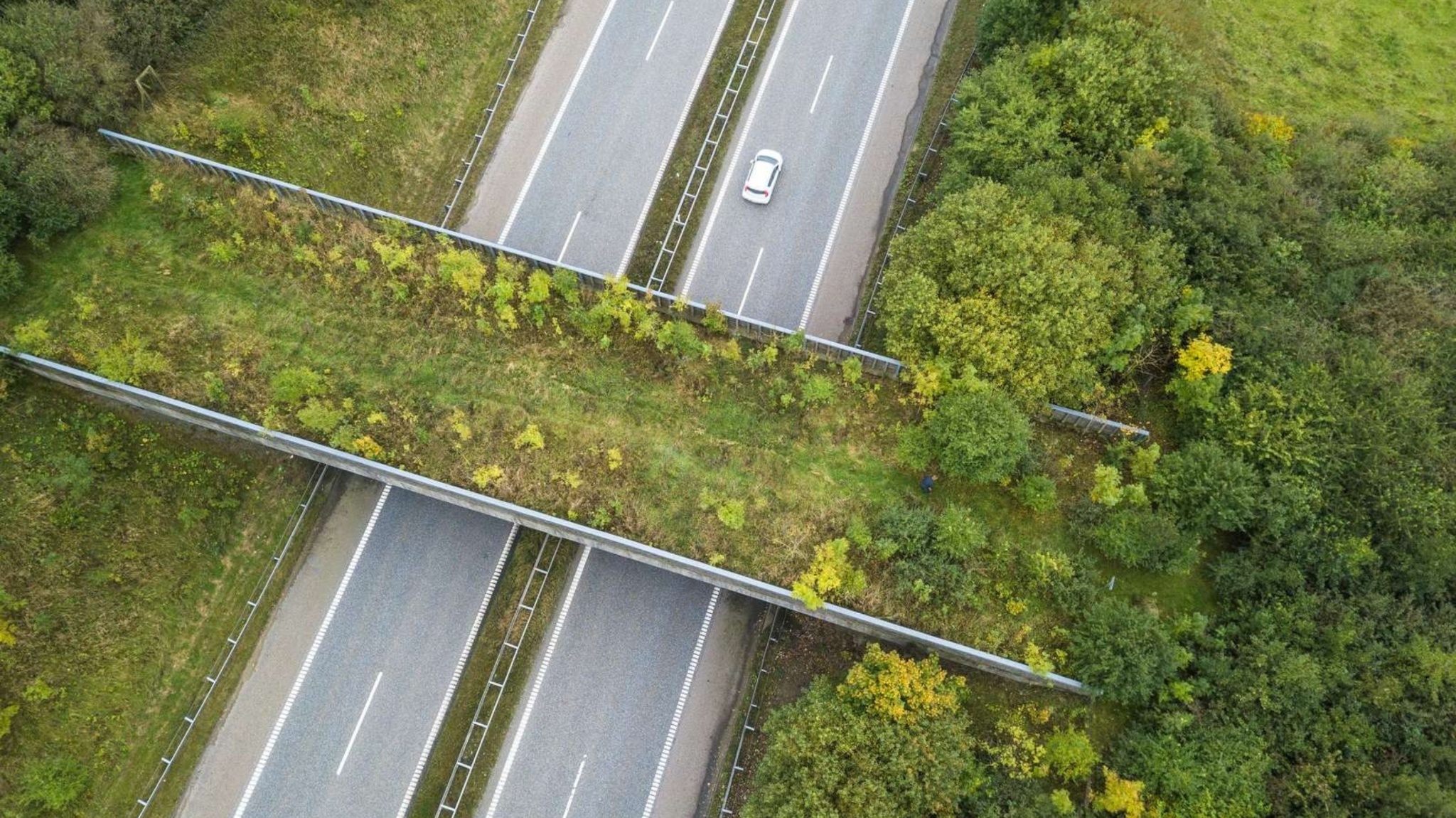 Design uden navn (54)