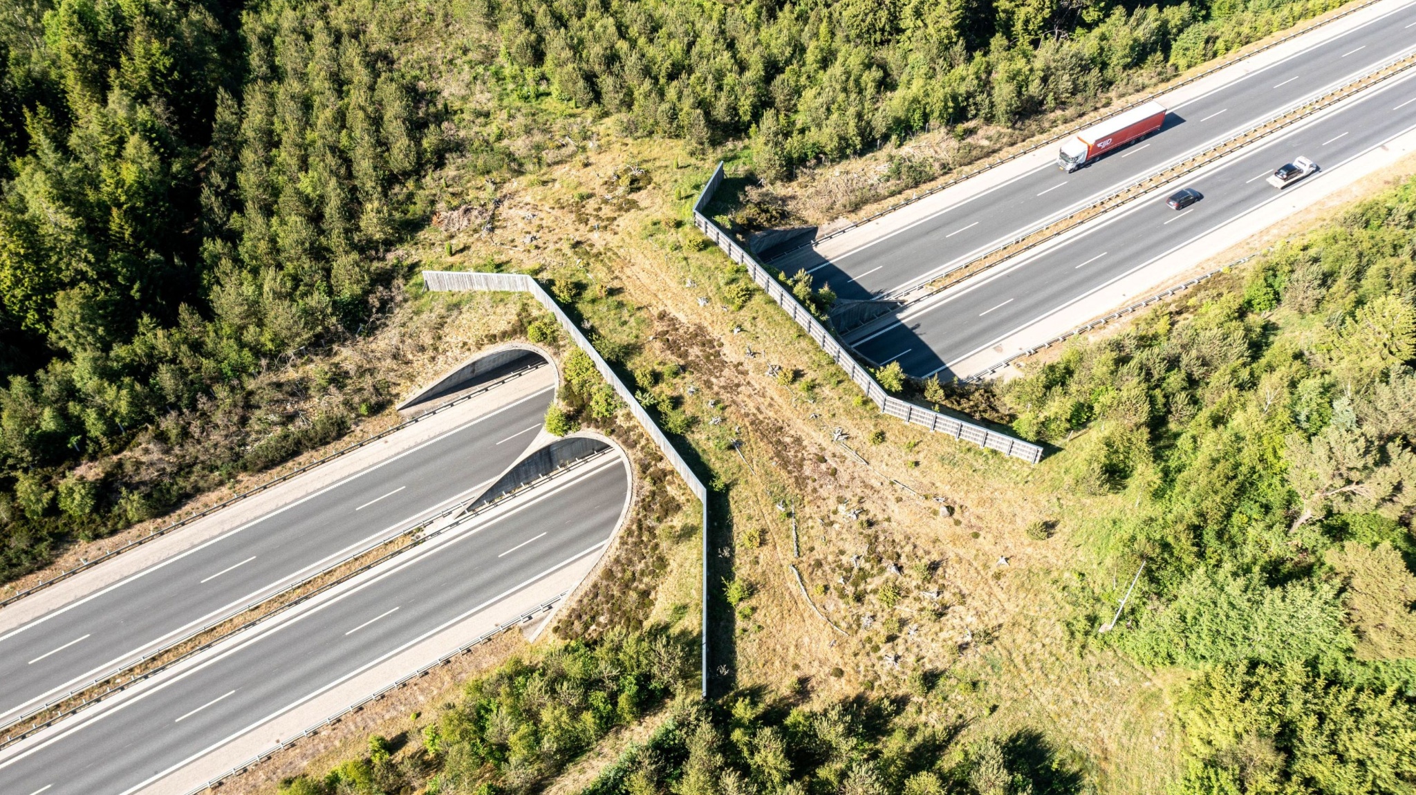 Design uden navn (53)