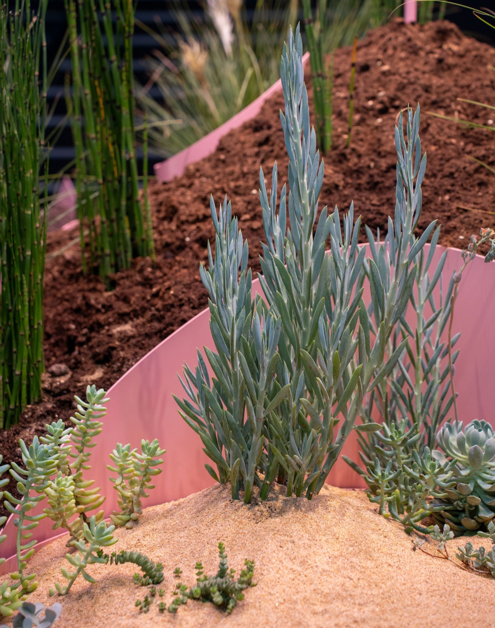 Danish-Architecture-Center-Age-of-Nature-Studio-Ossidiana_00013