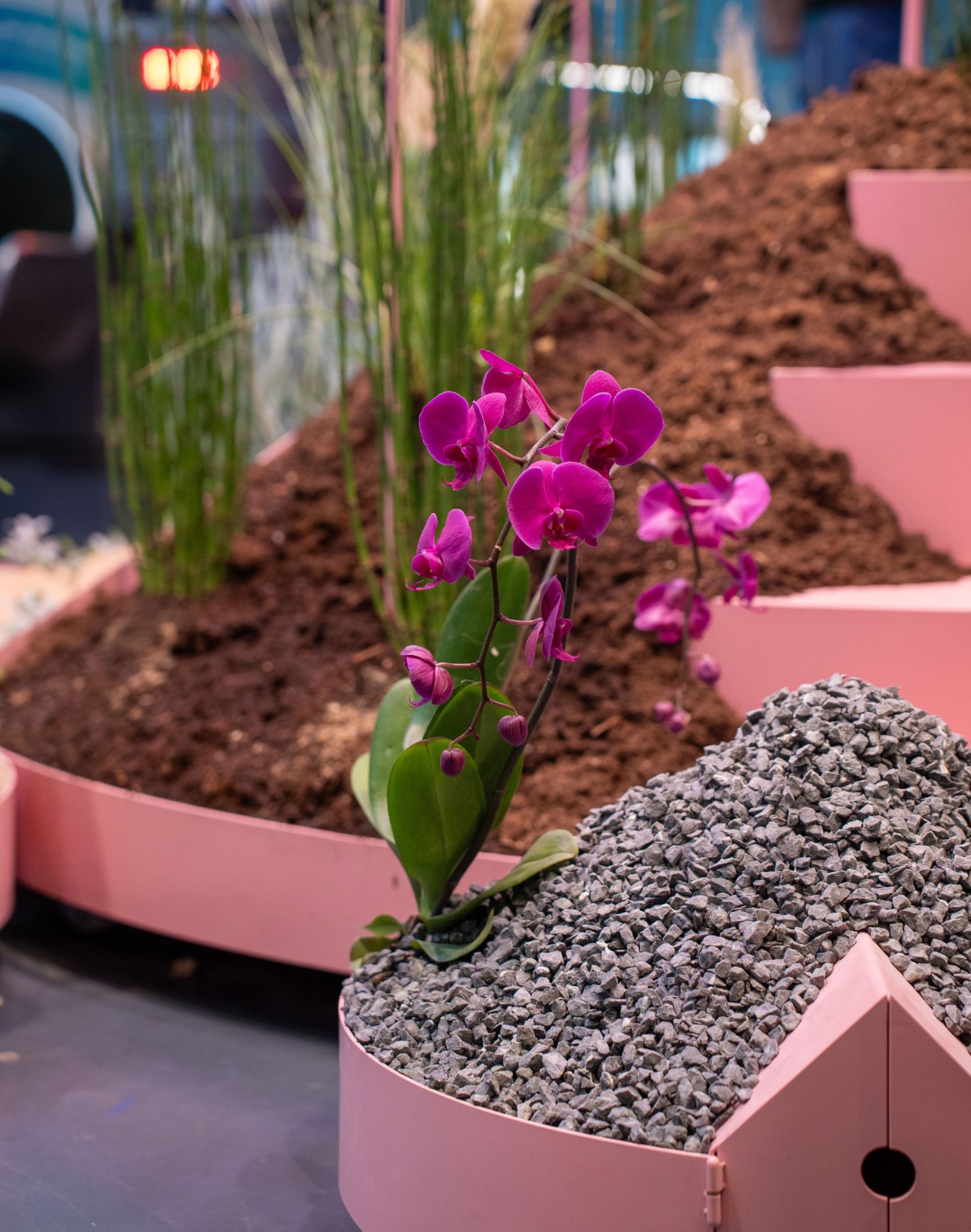 Design uden navn (60)