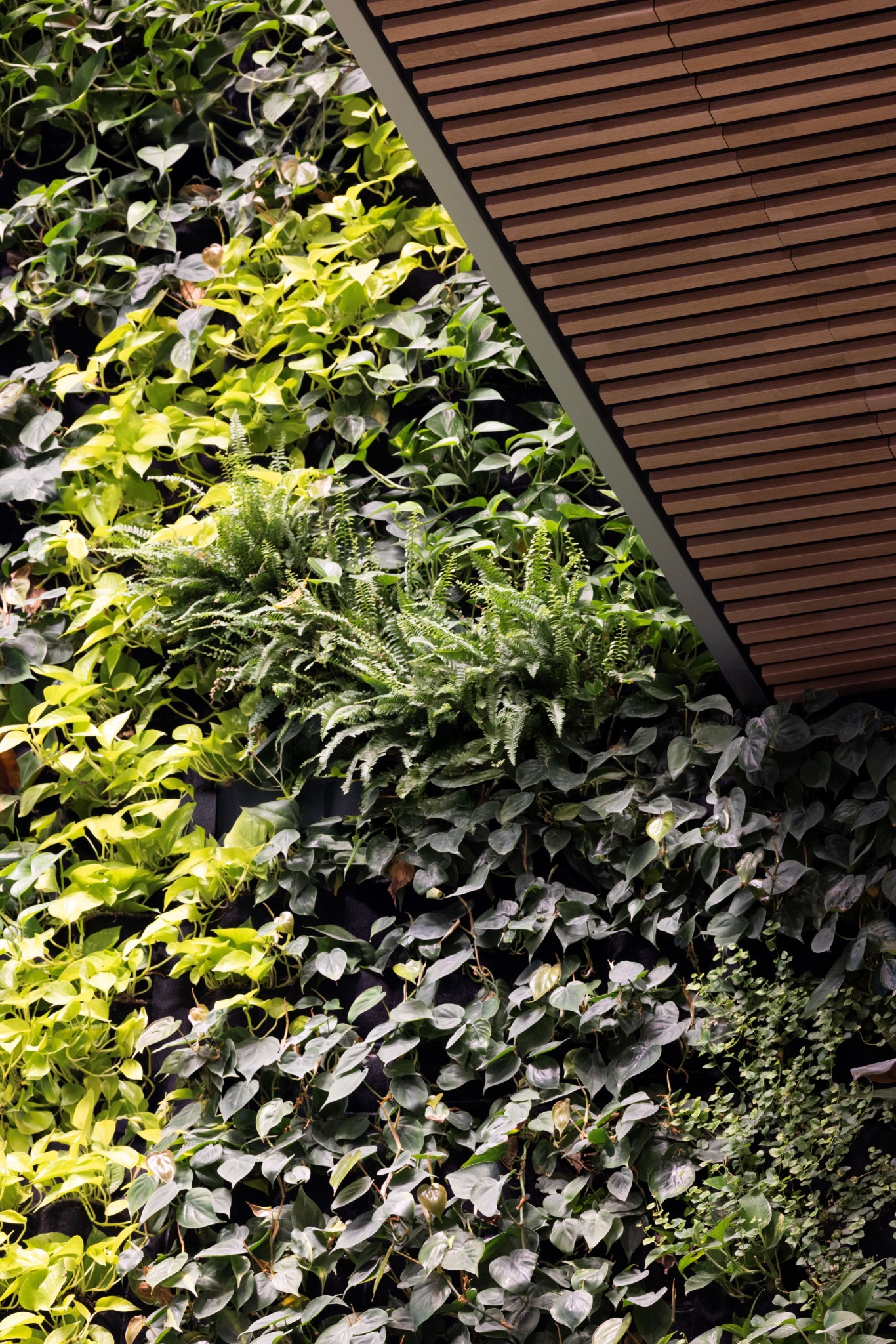 Biosis_Lagunen_EHeier_4