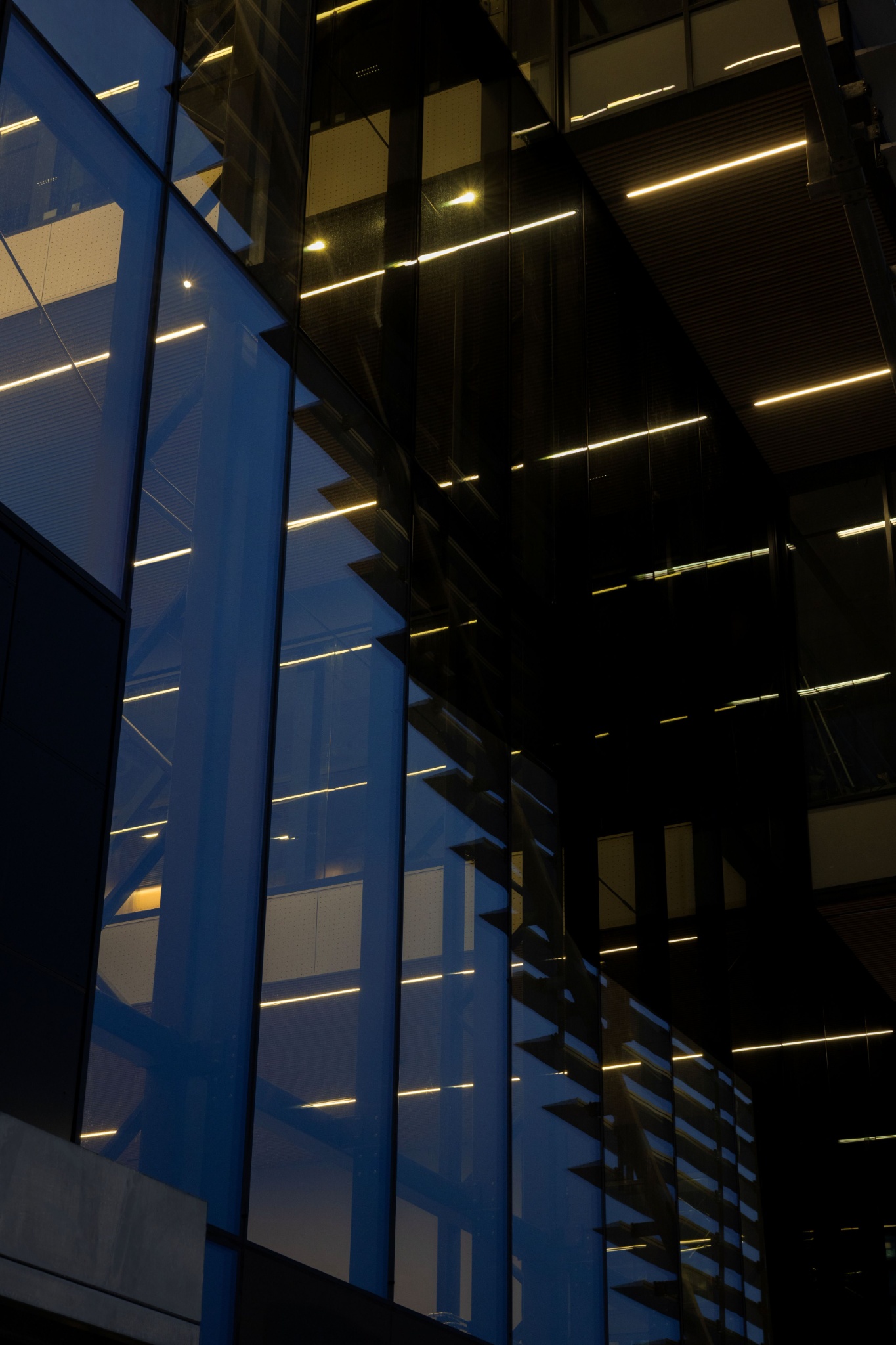 Biosis_Lagunen_EHeier_15