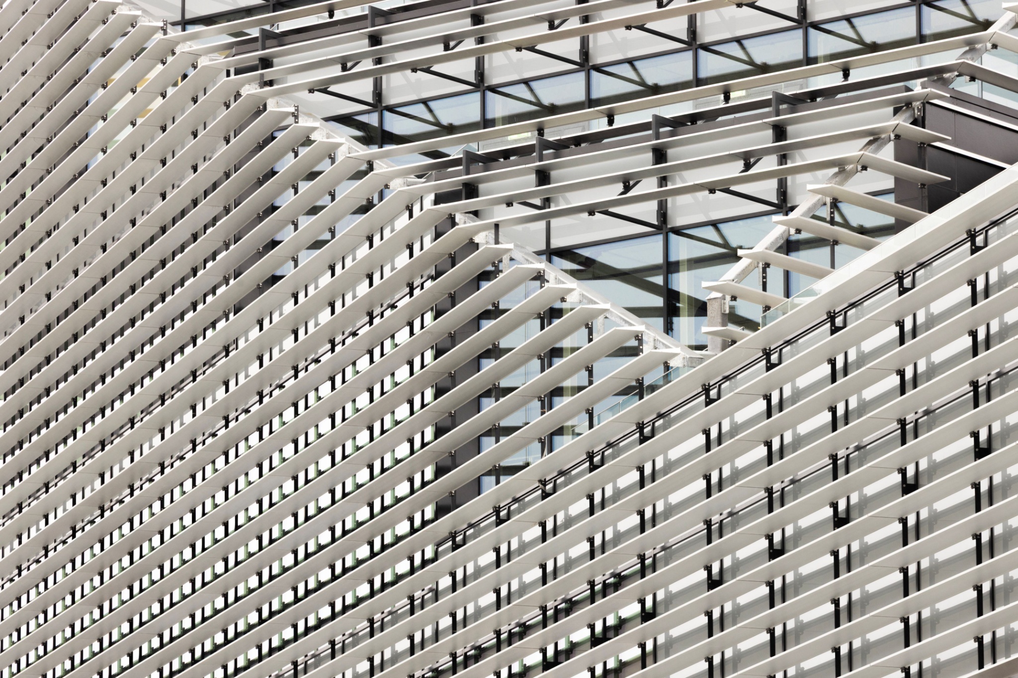 Biosis_Lagunen_EHeier_1