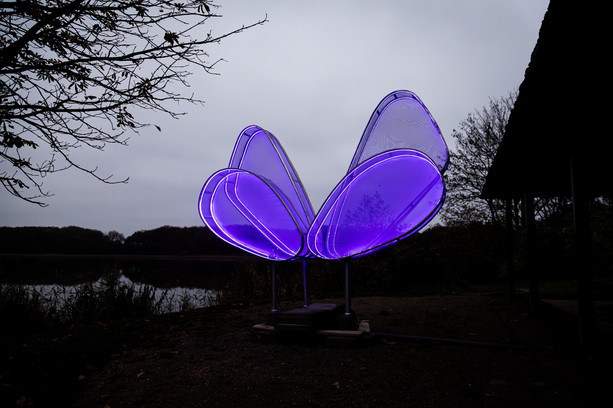 c868bdf0-a4d9-459c-8c4e-77575fca10d4