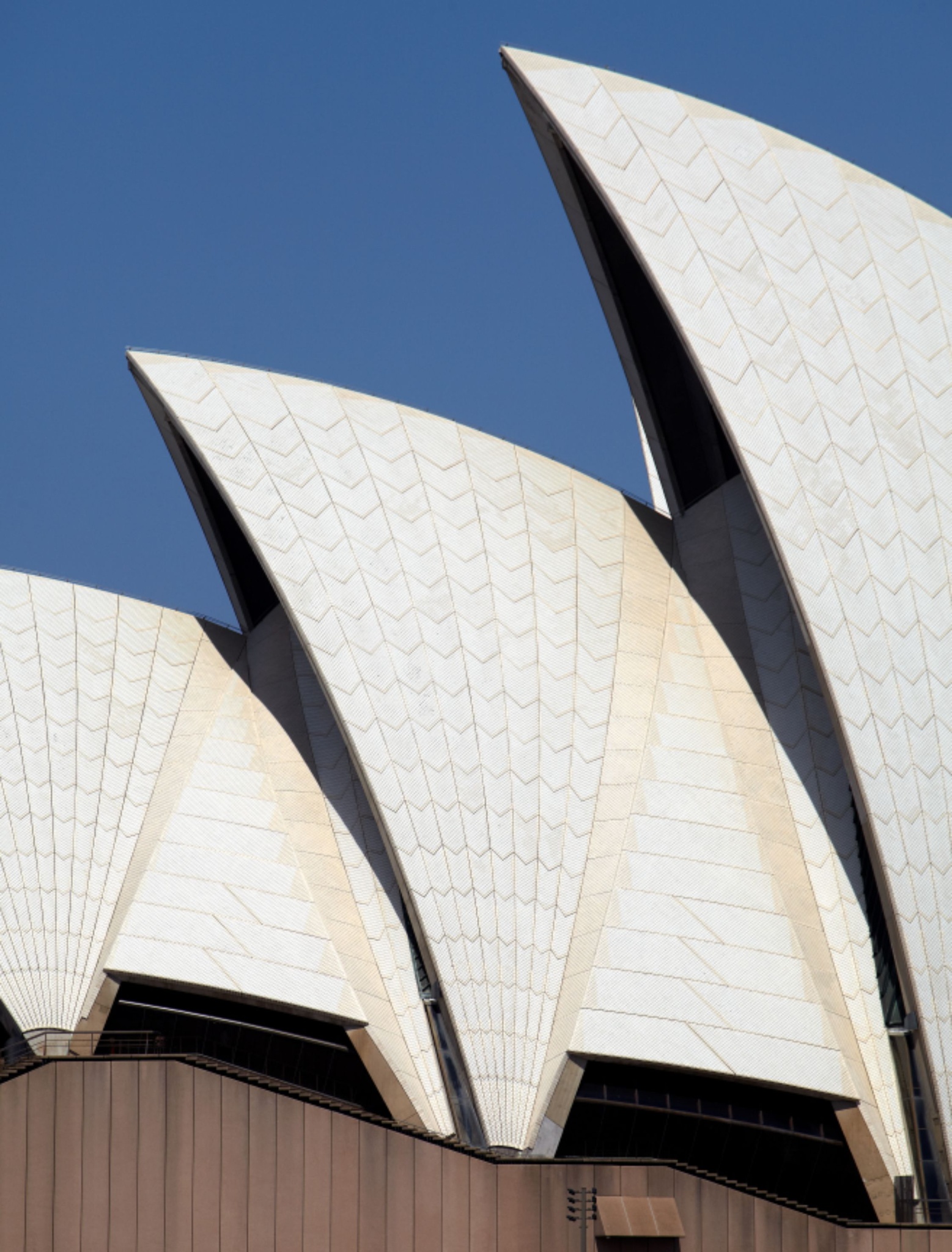 Design uden navn (14)