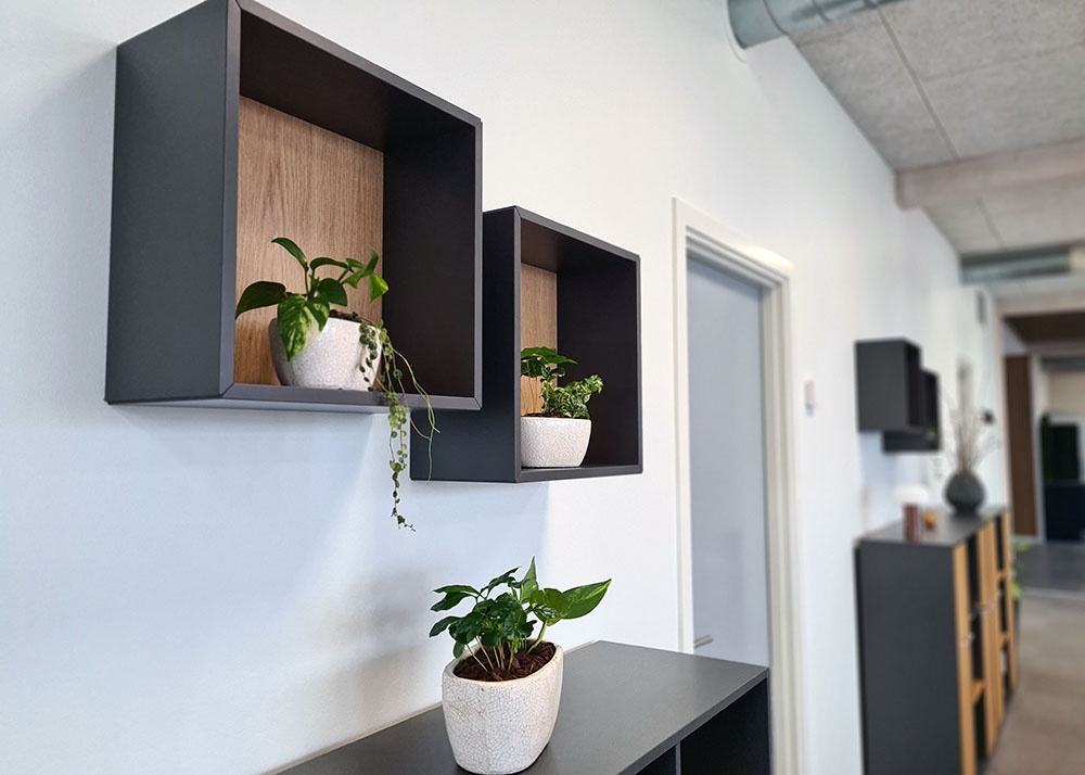 Indretning-Farvervej_planter_4