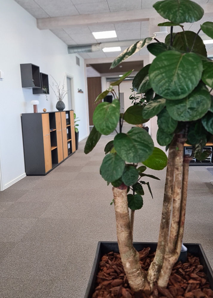 Indretning-Farvervej_planter_6