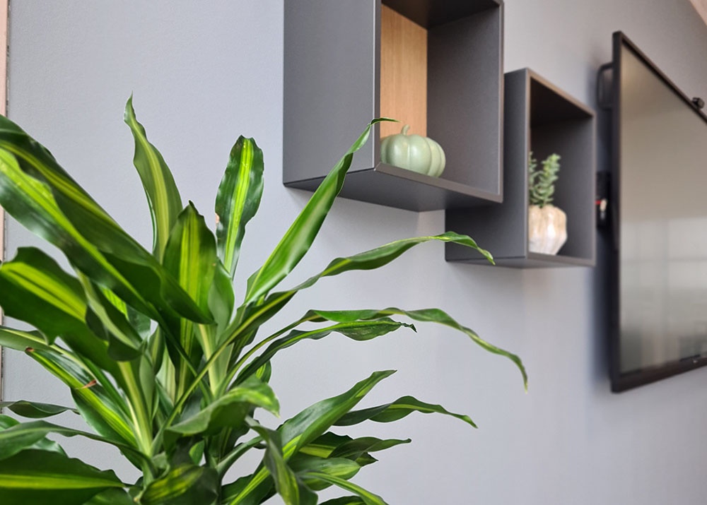 Indretning-Farvervej_planter_1