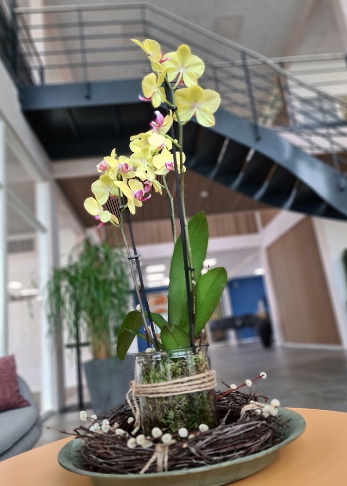 Indretning-Farvervej_planter_3