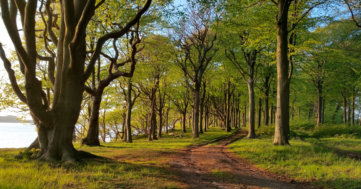 Ballerup-Furesoe-folkekirken_banner