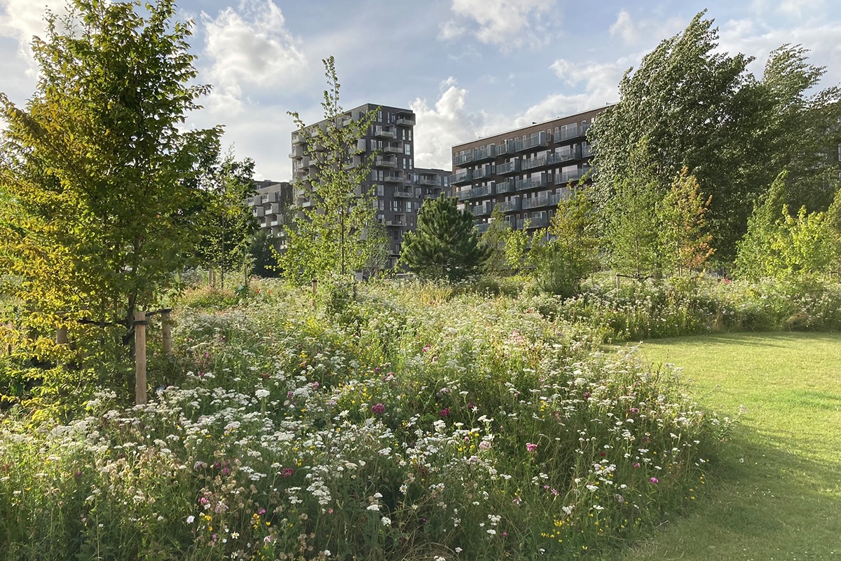 SLA_Oerestad-Bypark-_AFTER_1