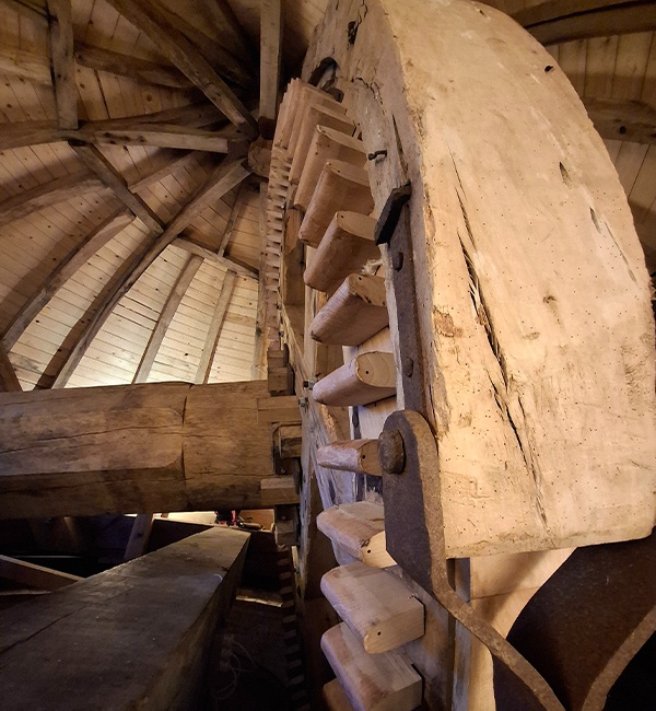 Dansk-Moelleinstitut_Lindelse-Moelle-paa-Langeland
