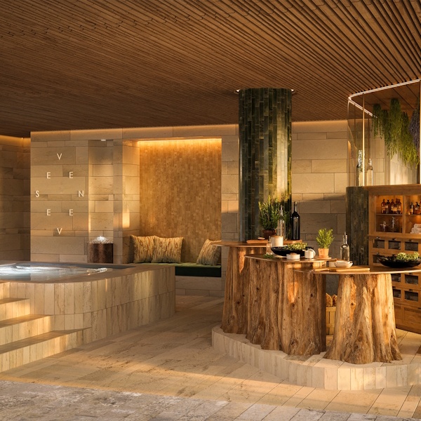 Bassin-Seven-SPA-BIG-Hotel-Bar